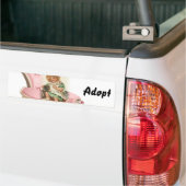 Chat Kitten Chien Adopter le pare-chocs Sticker (Sur camion)