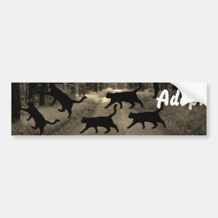 Chat Kitten Chien Adopter le pare-chocs Sticker
