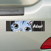 Chat Kitten Chien Adopter le pare-chocs Sticker (En voiture)