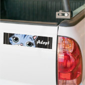 Chat Kitten Chien Adopter le pare-chocs Sticker (Sur camion)