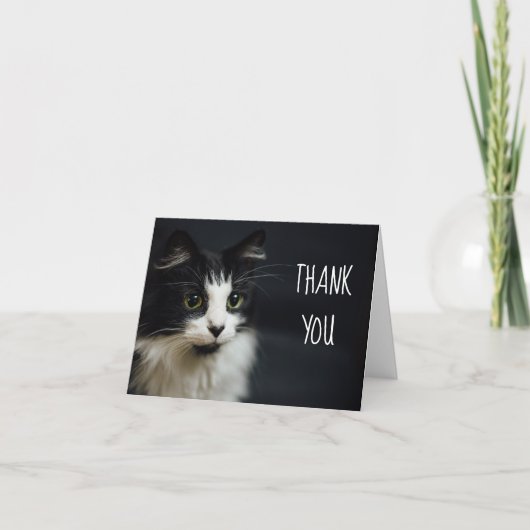 Chat, Kitty, Merci Petit Carte pour notes (Devant)