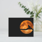 Chat lunaire - Carte postale (Debout devant)
