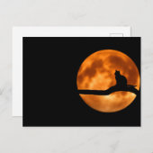 Chat lunaire - Carte postale (Devant / Derrière)