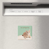 Chat Magnet Les Chats Sont Aussi Des Gens (In Situ (Lave-vaisselle))
