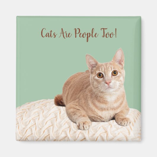 Chat Magnet Les Chats Sont Aussi Des Gens (Devant)