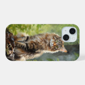 chat Maine Coon (Verso Horizontal)