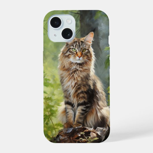 chat Maine Coon (Verso)