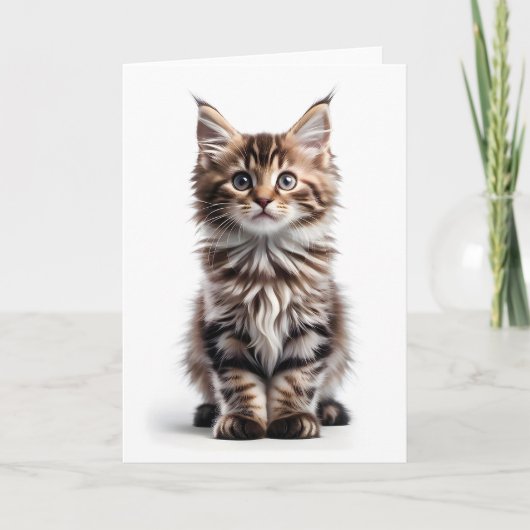 Chat Maine Coon à poil long et moelleux Carte de v (Devant)