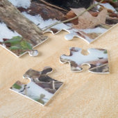 Chat Maine Coon dans la forêt Jeu de puzzle (Côté)