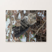 Chat Maine Coon dans la forêt Jeu de puzzle (Horizontal)