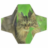 Chat Maine Coon dans l'arbre (Plat)