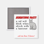 Chat Marteau Aimant Drôle Humour (Recto/Verso)