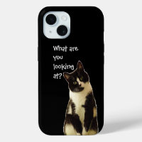 Chat méchant "Qu'est-ce que vous regardez.."