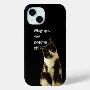 Chat méchant "Qu'est-ce que vous regardez.."