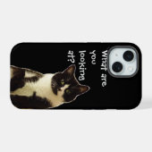 Chat méchant "Qu'est-ce que vous regardez.."  (Verso Horizontal)