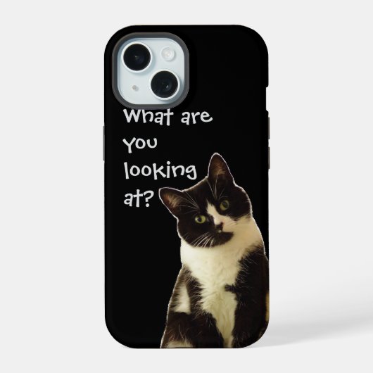 Chat méchant "Qu'est-ce que vous regardez.."  (Verso)