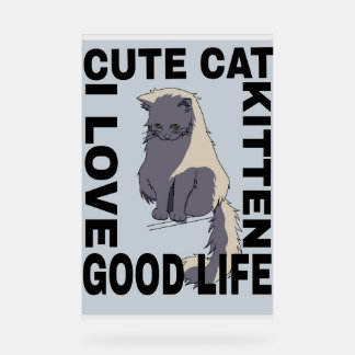Chat mignon bonne vie