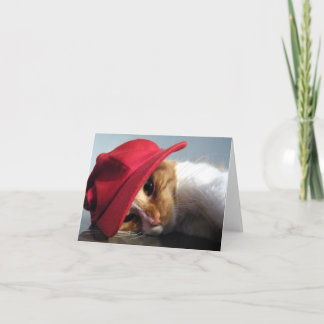 Chat mignon dans la carte de note rouge de blanc