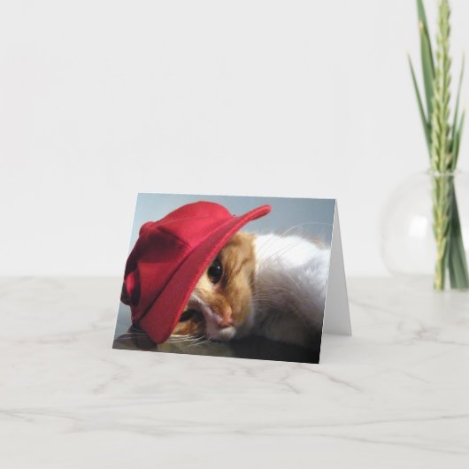 Chat mignon dans la carte de note rouge de blanc (Devant)