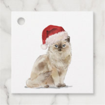 Chat mignon dans un chapeau de Noël Étiquettes cad