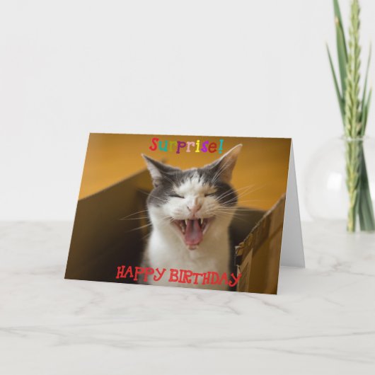 Chat mignon dans une boîte Carte de voeux d'annive (Devant)