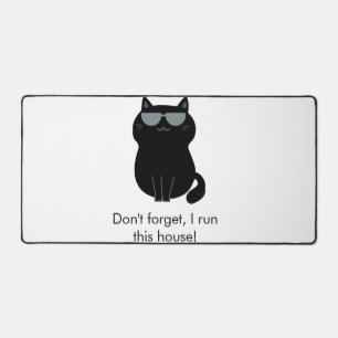 Chat mignon - Je dirige cette maison maintenant !