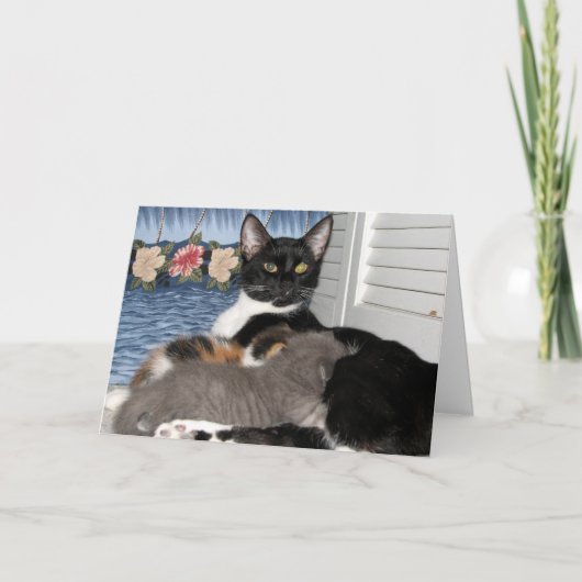 Chat Momma's Love Carte de remerciements (Devant)