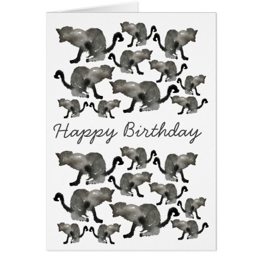 Chat monochrome couleur noir (Devant)