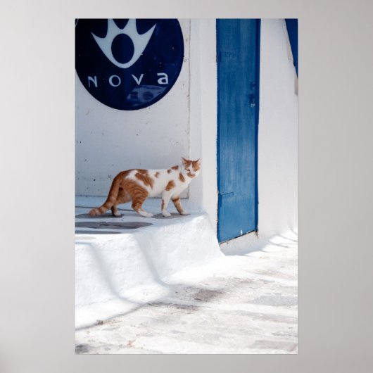Chat Mykonos - Poster (Devant)