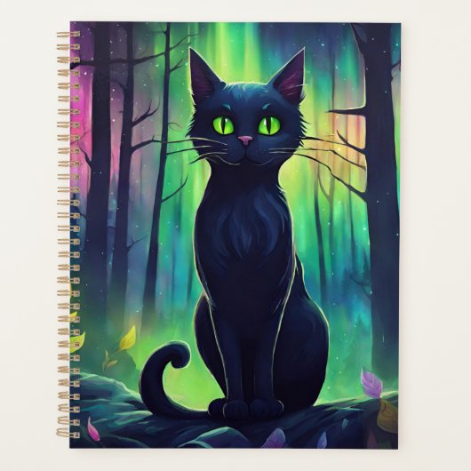 Chat Mystique des Aurores Boréales (Devant)