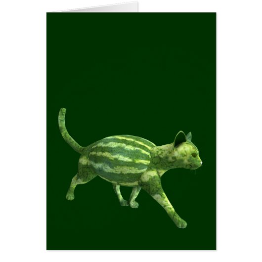 Chat national de la journée de la pastèque (Devant)