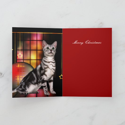 Chat Noël de la carte (Intérieur)