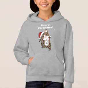 Chat Noël Neige Hiver Animaux Chats