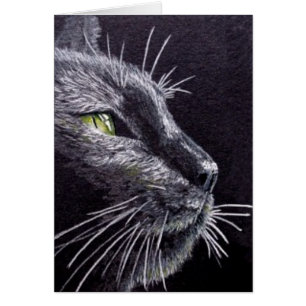 Chat noir