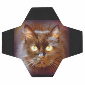 chat noir (Plat)