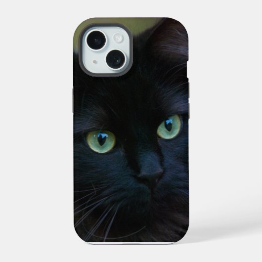 chat noir (Verso)