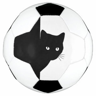 Chat noir