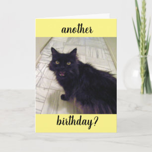 Chat noir Autre carte de voeux d'anniversaire