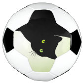 Chat noir aux yeux verts (Tourné)