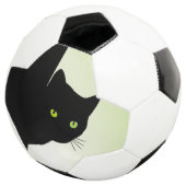 Chat noir aux yeux verts (3/4)