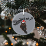 Chat noir avec chapeau de Santa | Sleigh et Reinde<br><div class="desc">Un ornement de Noël personnalisé est une excellente façon de célébrer votre animal de compagnie à Noël. Un dessin d'un chapeau de Père Noël rouge et blanc est placé sur la photo d'un chat noir. Une silhouette de Père Noël qui traîneau et rennes volant à travers le ciel est dans...</div>
