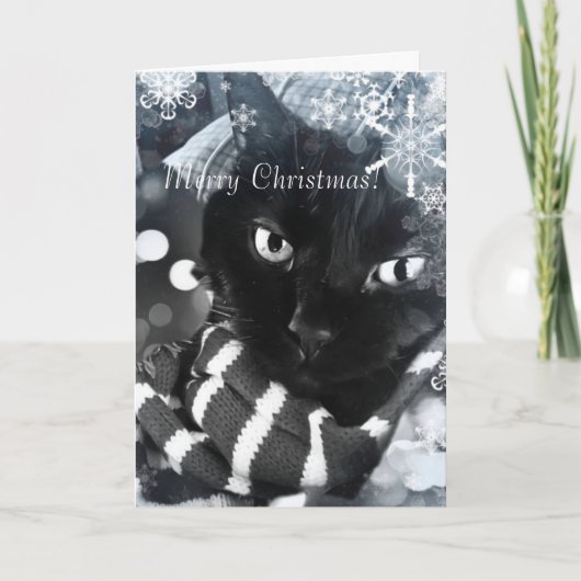 Chat noir avec la carte de Noël de flocons de (Devant)