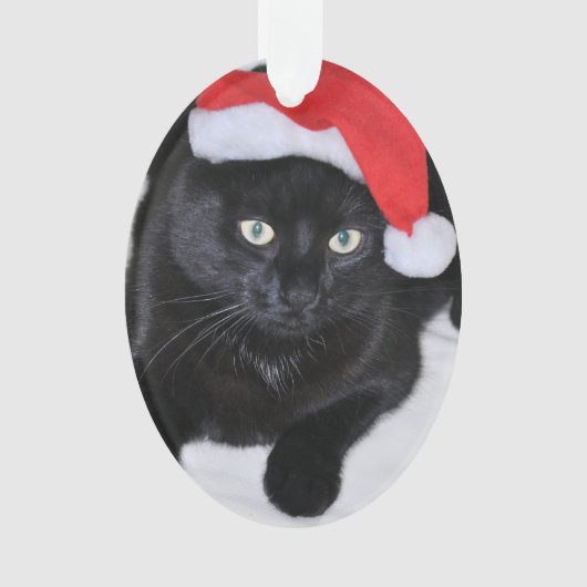 Chat noir avec le casquette rouge de Père Noël (devant)