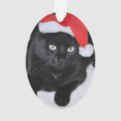 Chat noir avec le casquette rouge de Père Noël (dos)
