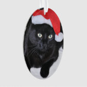 Chat noir avec le casquette rouge de Père Noël (devant)