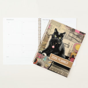 Chat noir avec pattes blanches collage