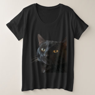 Chat Noir Avec Une Expression Amusante Et Excentri