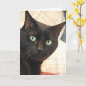 Chat noir Bonne carte d'anniversaire (Fleur jaune)