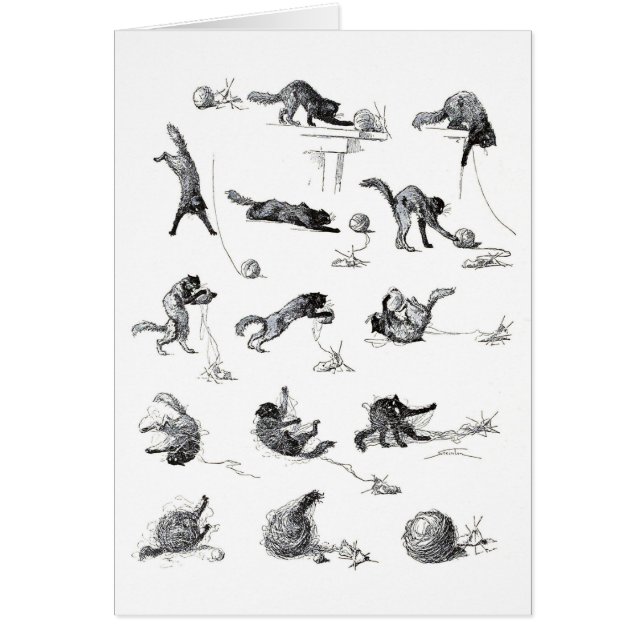 Chat noir & Boule en laine, Alexandre Steinlen (Devant)