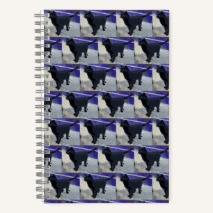 Chat noir Carnet spiral